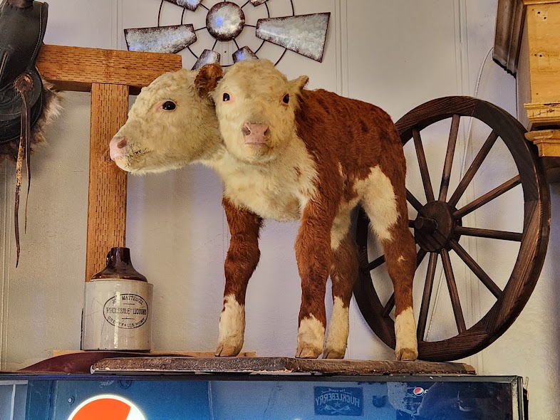 American Bar & Grill Photos 2